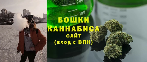 молекула духа Белокуриха