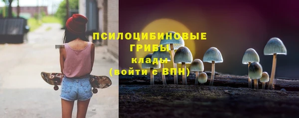СК Беломорск