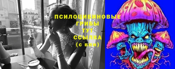 молекула духа Белокуриха