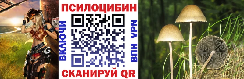 Галлюциногенные грибы Psilocybine cubensis  Пыть-Ях 